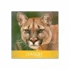 Brand new ⭐ Domtar Cougar Laser Papers Domtar Cougar Digital 10% Recycled 8.5" X 11" Paper, 70 Lbs., 98 Brightness, 500/Ream, 8 Reams/Carton (2826CASE) 🔥