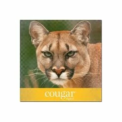 Brand new ⭐ Domtar Cougar Laser Papers Domtar Cougar Digital 10% Recycled 8.5" X 11" Paper, 70 Lbs., 98 Brightness, 500/Ream, 8 Reams/Carton (2826CASE) 🔥
