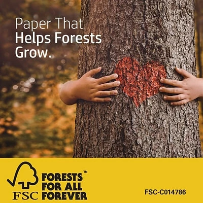 Cheap ❤️ Copy & Printer Paper HP Premium32 8.5" X 11" Multipurpose Paper, 32 Lbs., 100 Brightness, 500/Ream (113100) ⌛ - Image 4