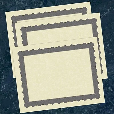 Budget 🔥 Awards & Recognition Masterpiece Studios Parchment Certificates With Metallic Silver Border ✨ - Image 3