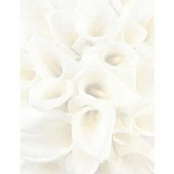 Top 10 🤩 Great Papers® Stationery Collection Great Papers® White Calla Lilies Letterhead 80 Count 🔔